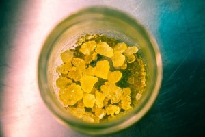 What's the Difference Between Live Resin & Live Rosin?